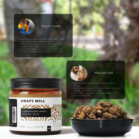 Guggal Resin | Commiphora Wightii