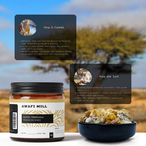Frereana Frankincense Resin Maydi