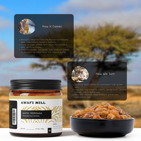 Frereana Frankincense Resin Maydi