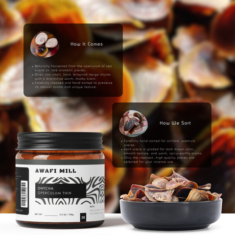Onycha (Operculum) - Natural Incense Fixative | Premium Raw Aromatic Seashell Operculum