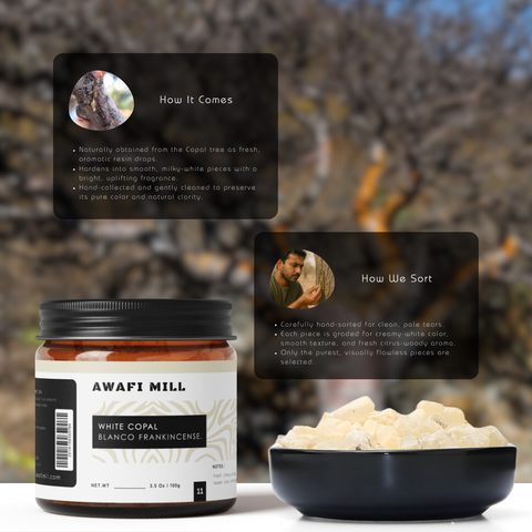 White Copal | Pure Resin for Incense & Rituals