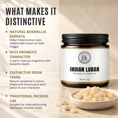 Indian Frankincense Resin |  Salai Guggul |  Boswellia serrata