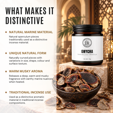 Onycha Operculum | Dhifra Marine Incense Material