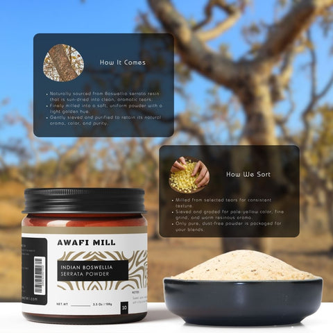 Indian Boswellia Serrata Powder (Shallaki) – Pure Indian Frankincense