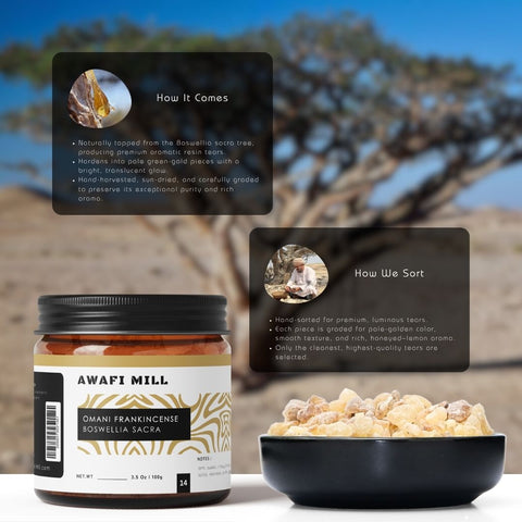 Omani Frankincense Boswellia sacra - Sweet Luban