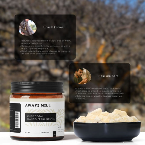 White Copal | Pure Resin for Incense & Rituals