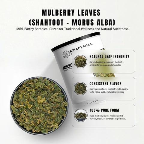 Mulberry Leaves (Shahtoot) - Morus Alba