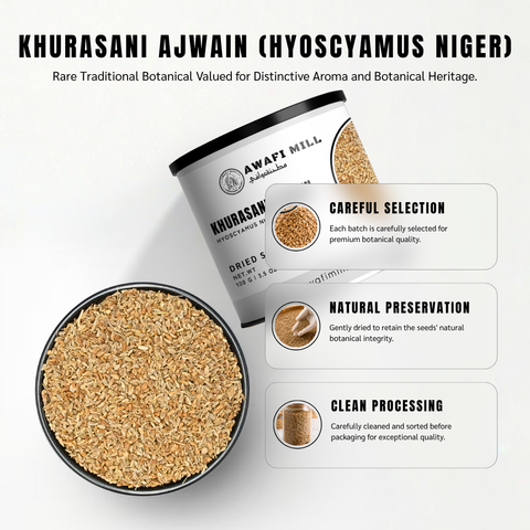 Khurasani Ajwain | Black Henbane | Hyoscyamus niger