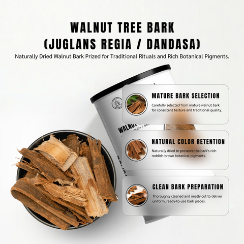 Walnut Bark Strips | Dandasa | Akhrot Chhal | Juglans regia