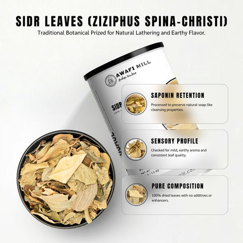 Sidr Leaves (Lote Tree) - Ziziphus Spina-Christi