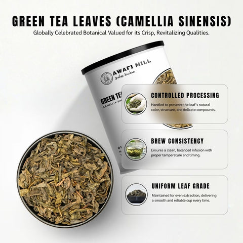 Green Tea Leaves - Camellia Sinensis
