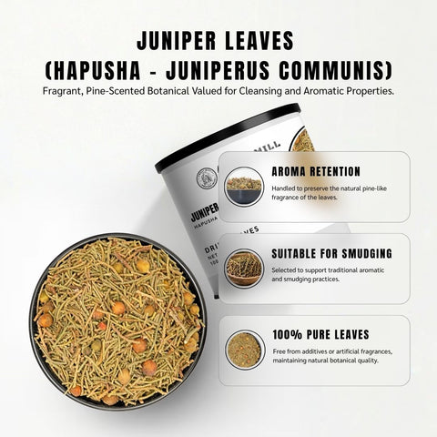 Juniper Leaves (Hapusha) - Juniperus Communis