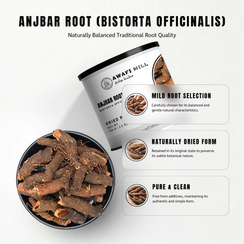 Anjbar Root - Polygonum Viviparum