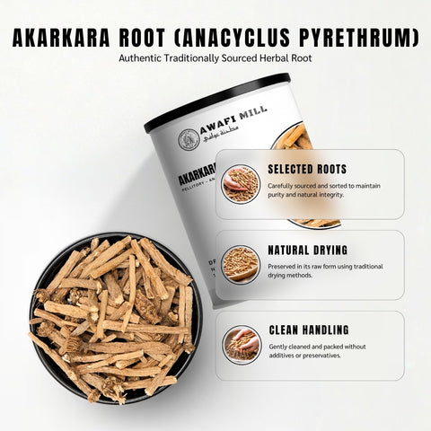 Akarkara Root (Pellitory) - Anacyclus Pyrethrum