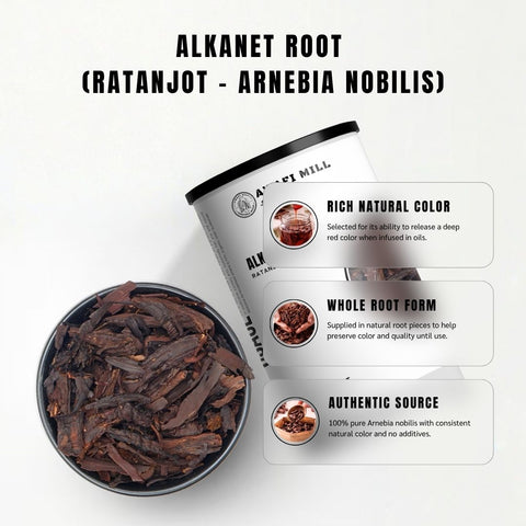 Alkanet Root (Ratanjot) - Alkanna Tinctoria