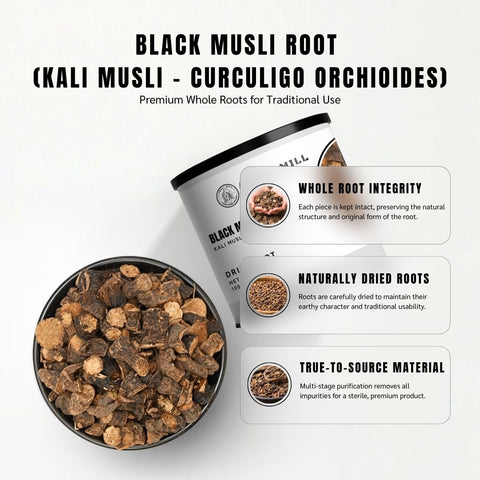 Black Musli Root - Curculigo Orchioides