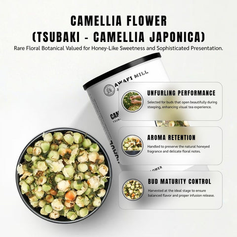 Camellia Flowers (Tsubaki) - Camellia Japonica