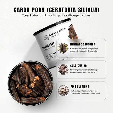 Carob Pods (Kharrub / Kharoub) – Ceratonia siliqua