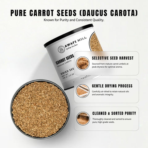 Carrot Seeds (Beej Gajar) – Daucus carota