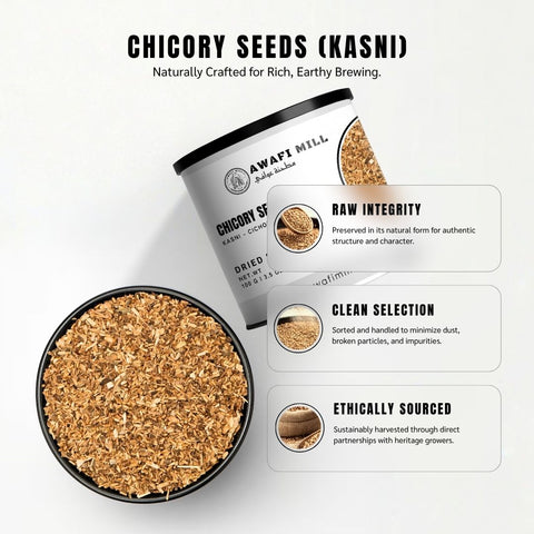 Chicory Seeds (Kasni Seeds) – Cichorium intybus L.