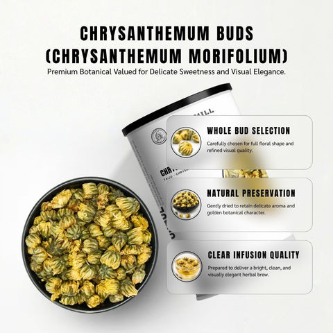 Snow Chrysanthemum Flowers Buds (Taiju) - Chrysanthemum morifolium