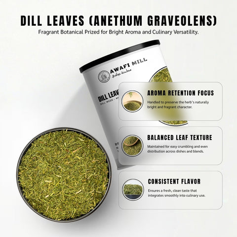 Premium Dried Dill Leaf (Anethum Graveolens) – Aromatic Botanical Herb