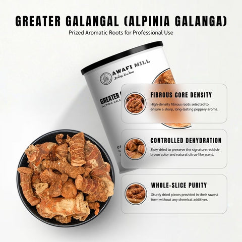 Greater Galangal - Alpinia Galanga