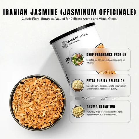 Iranian Jasmine (Yasmin) - Jasminum Officinale