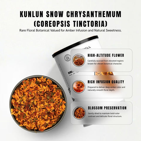 Kunlun Snow Chrysanthemum (Xue Ju) - Coreopsis tinctoria