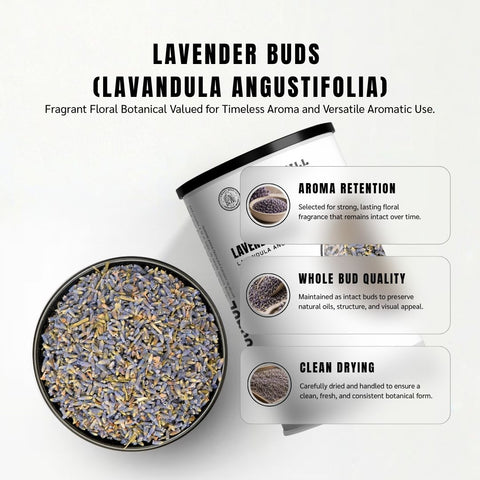 Lavender Buds (English Lavender) - Lavandula Angustifolia