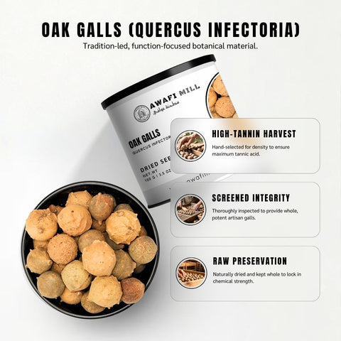 Oak Gall | Gall Wasps