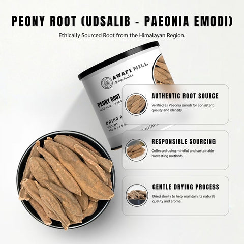 Peony Root (Udsalib / Bai Shao) - Paeonia Lactiflora