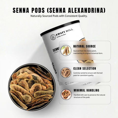 Senna Pods (Alexandrian Senna) – Senna alexandrina