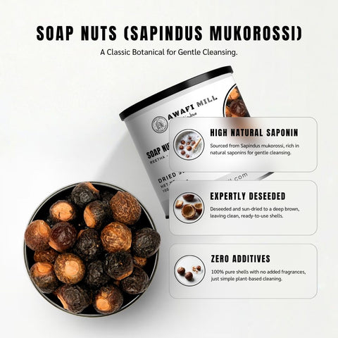 Soap Nuts (Reetha / Aritha / Washnut) – Sapindus mukorossi