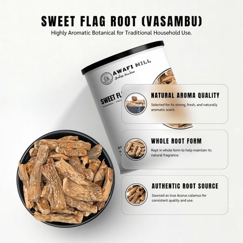 Sweet Flag Root (Vacha / Calamus) - Acorus Calamus