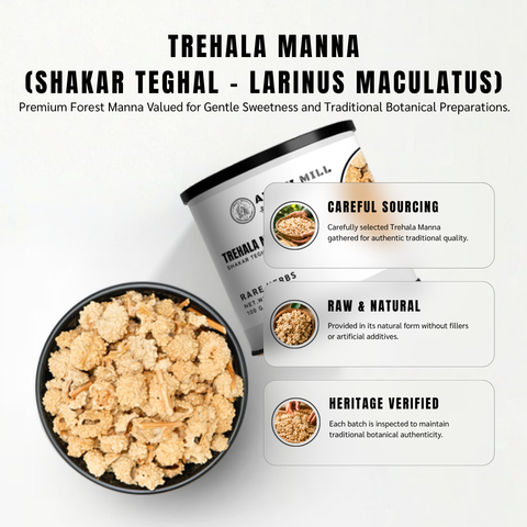 Trehala Manna (Shakar Teghal) - Larinus Maculatus