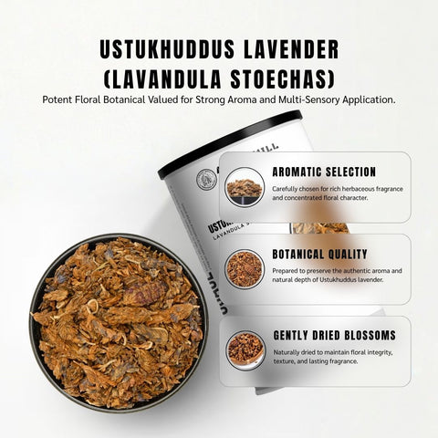 Ustukhuddus (Spanish Lavender) - Lavandula Stoechas