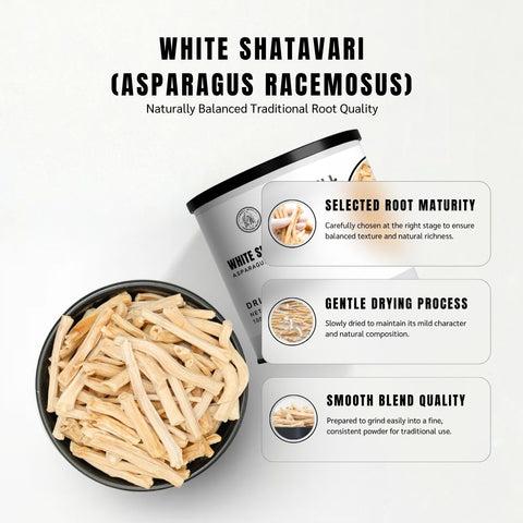 White Shatavari (Satavar) - Asparagus Racemosus