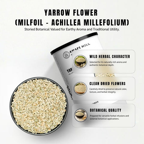 Yarrow Flower (Milfoil) - Achillea Millefolium