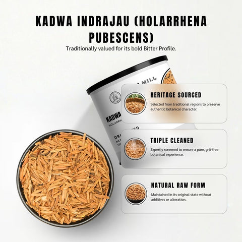 Kadwa Indrajau Seeds (Indrayava / Kutaj) – Holarrhena pubescens