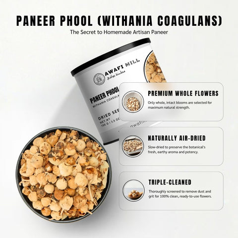 Paneer Phool (Paneer Doda / Indian Rennet) – Withania coagulans