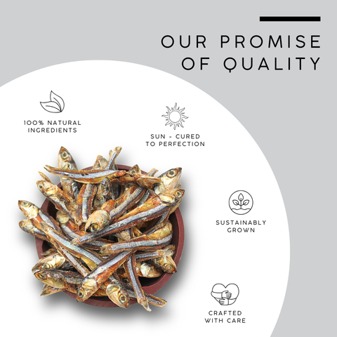 Nethili (White Anchovies) - Stolephorus