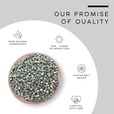 Balloon Vine Seeds (Heartseed) – Cardiospermum halicacabum