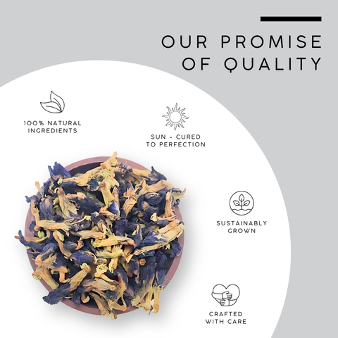 Butterfly Pea Flower | Clitoria Ternatea