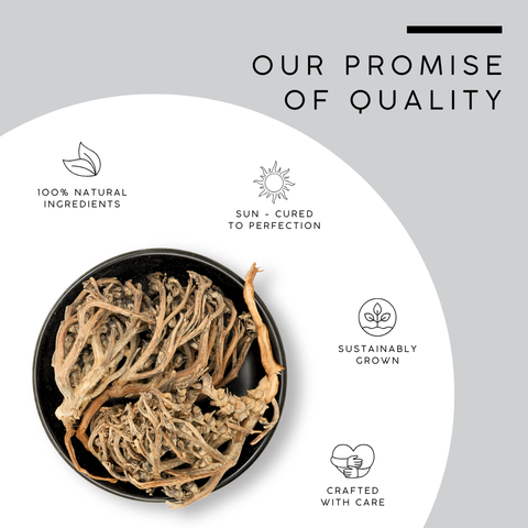 Jericho Rose | Chajarat Mariam