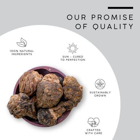 High John the Conqueror Root | Maca Roots