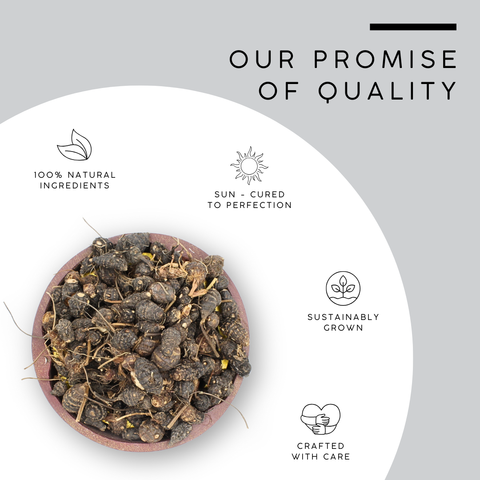 Nagarmotha Root | Cyperus Rotundus Herb