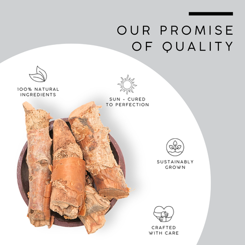 Oud Balsam Root
