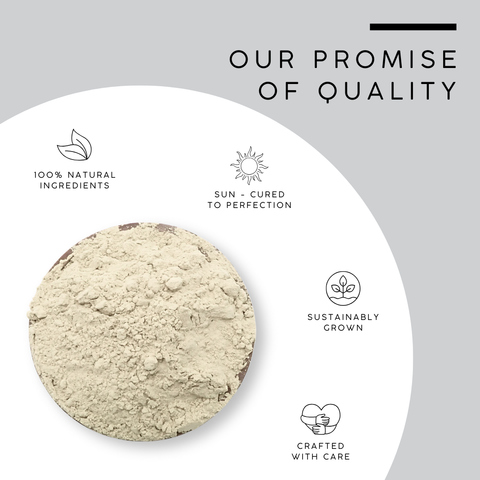 Licorice Root Powder - Glycyrrhiza Glabra