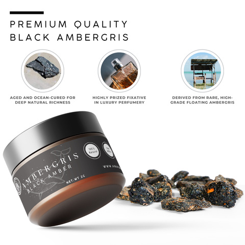 Ambergris - Black Amber | Rare Fragrant Resin